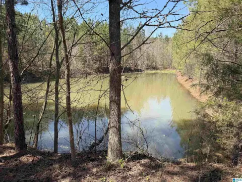 Rolling Agricultural Land with Pond