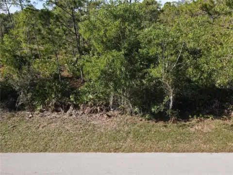 Vacant Lot in Tropical Gulf