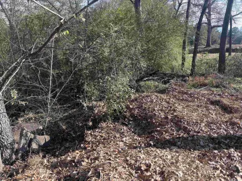 Residential Lot in De Queen