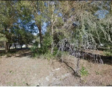 Fanning Springs Vacant 1-Acre Parcel