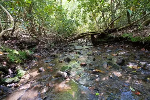 Unrestricted Acreage in Tusquittee Valley