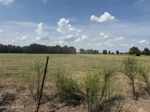 Residential Land in Ville Platte