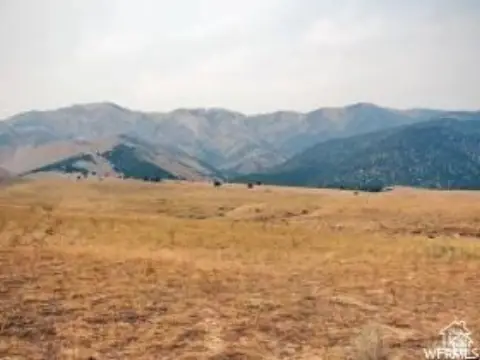 Agricultural Land