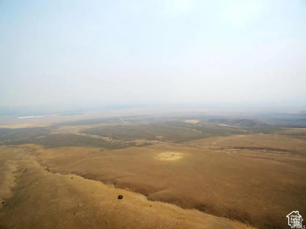 Picture 7