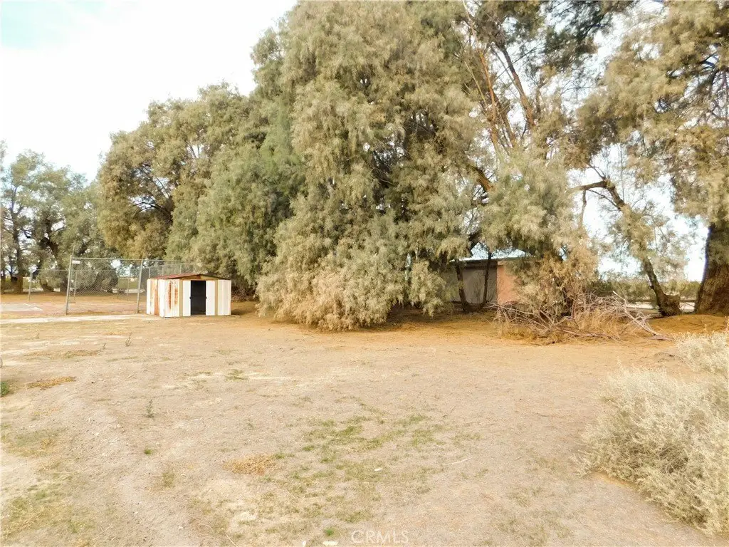 Picture 16