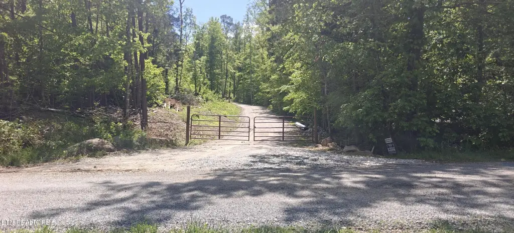 Picture 2