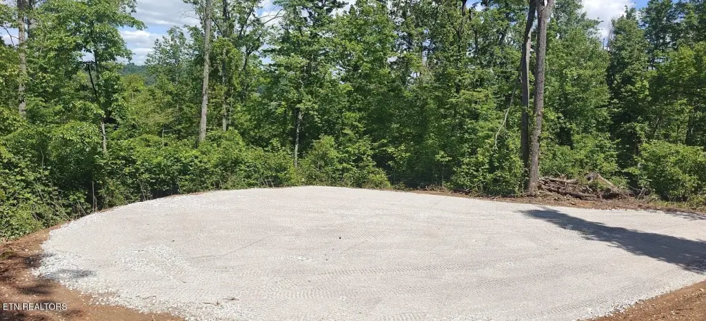 Picture 3