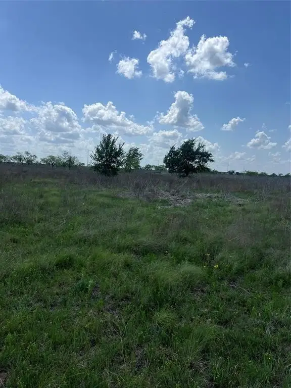 Picture 3