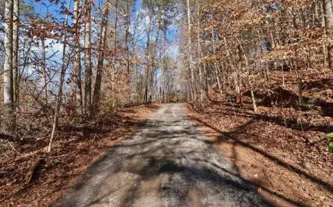 Dahlonega Mountain Property