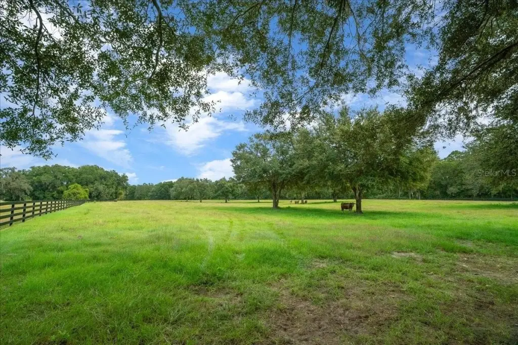 Picture 29