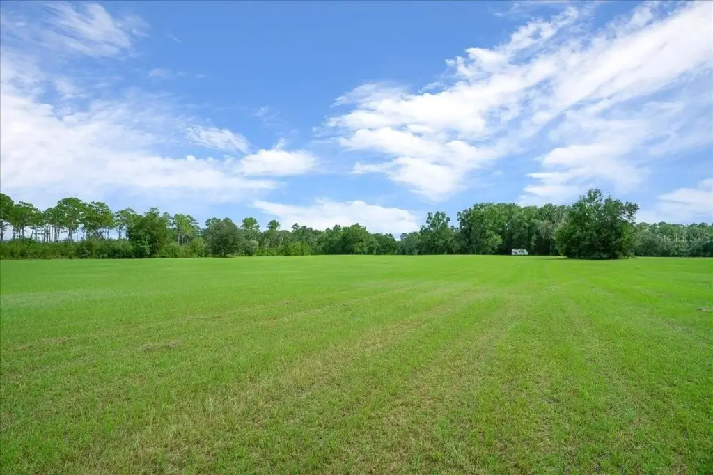 Picture 19