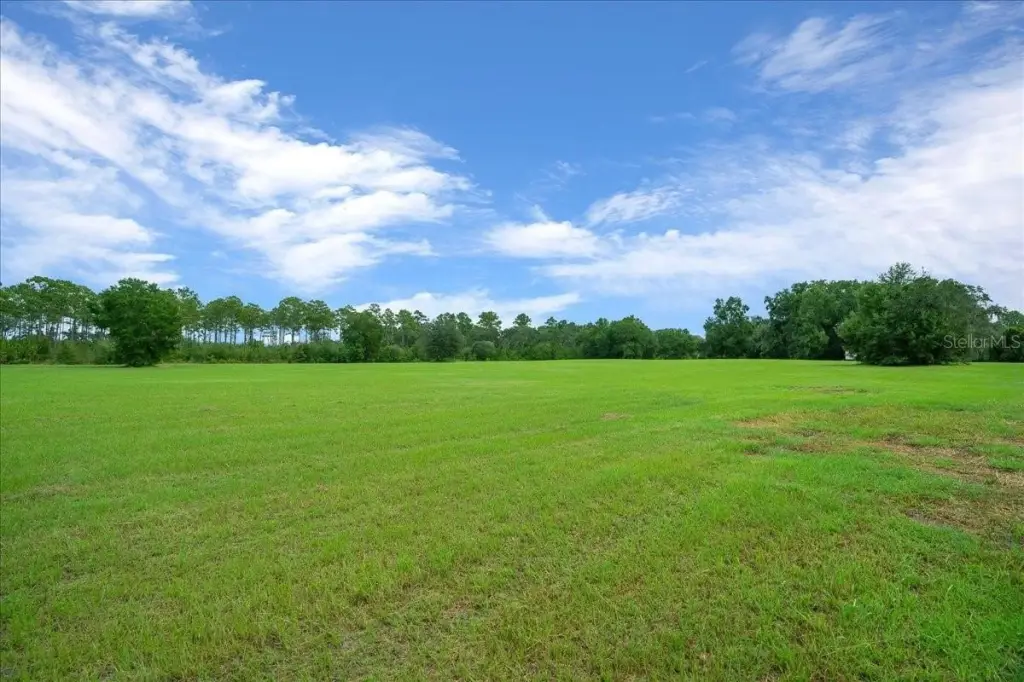 Picture 17