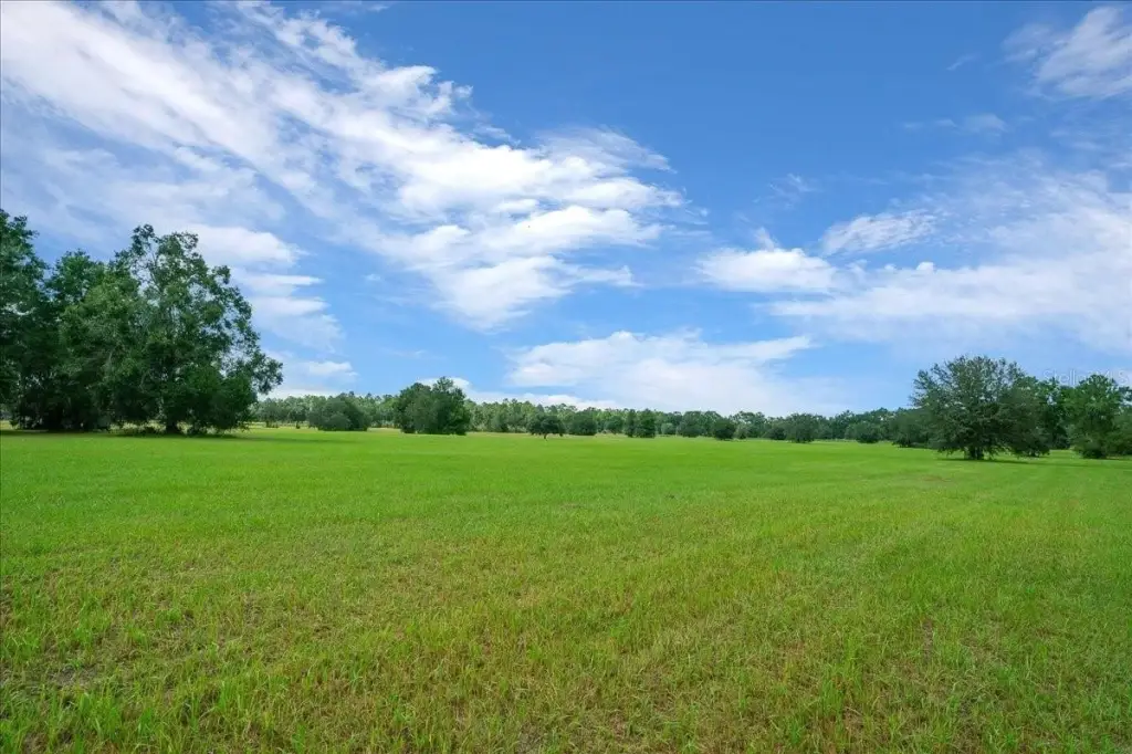 Picture 20