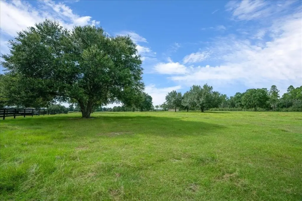 Picture 33