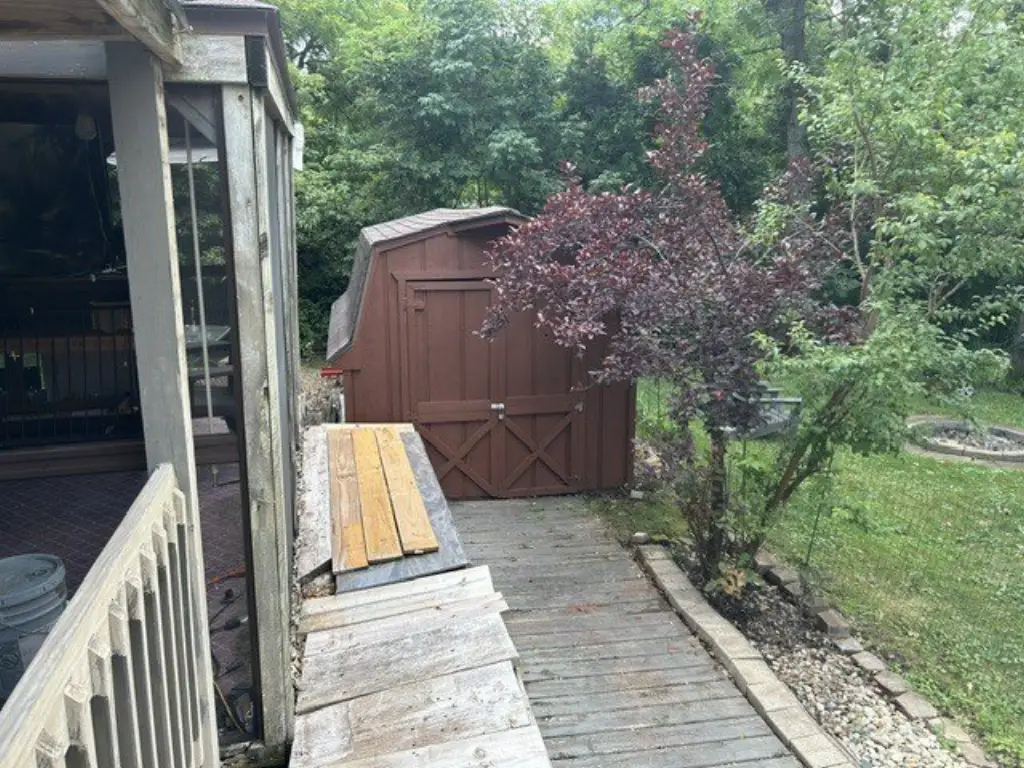 Picture 9