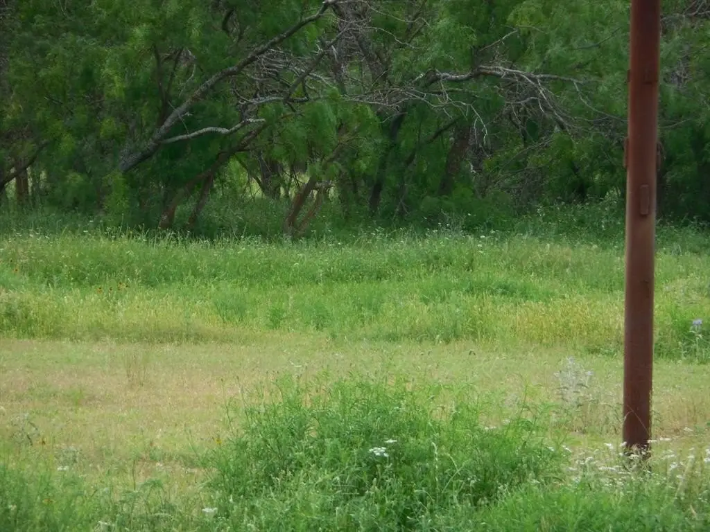 Picture 16