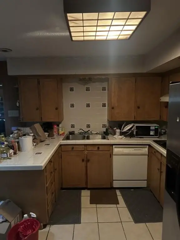Picture 5