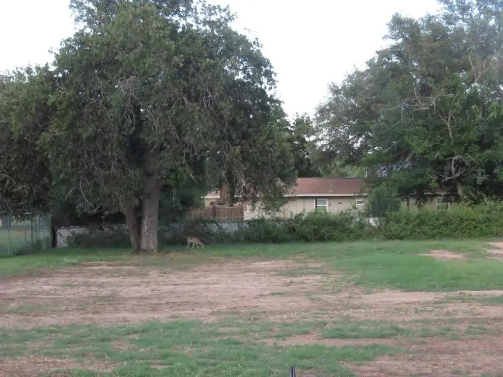 Picture 2