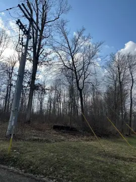 Partially Wooded Commercial Lot
