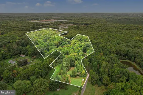 Wooded Commercial Land