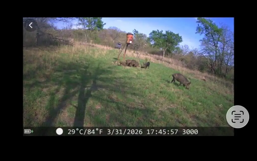 Picture 13