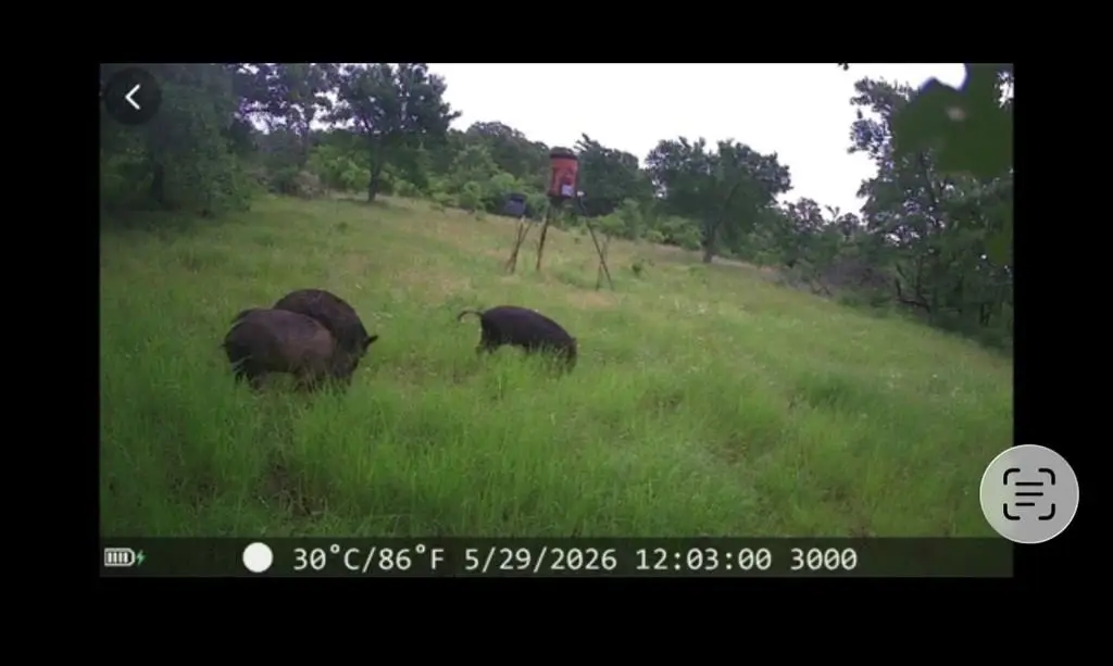 Picture 10