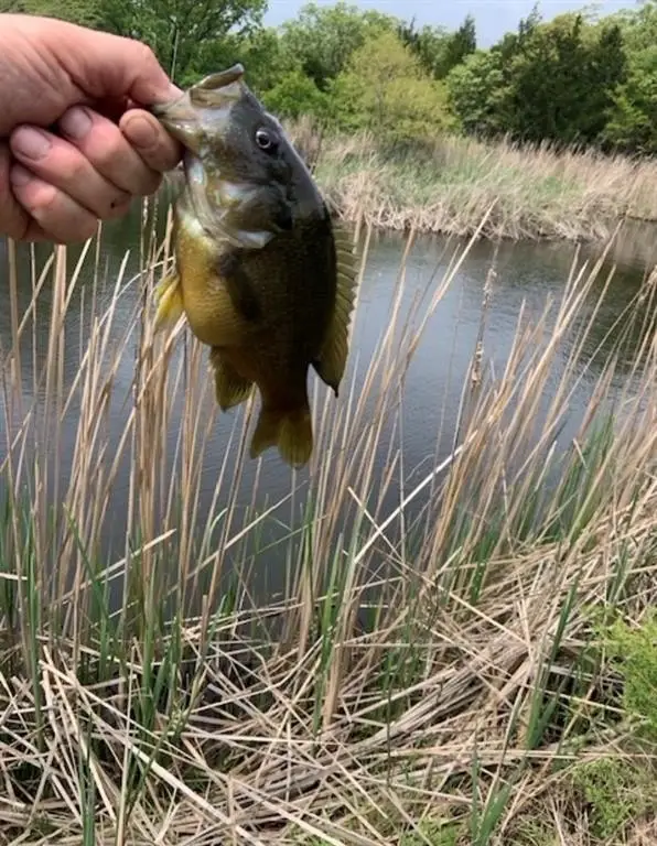 Picture 17