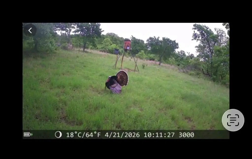 Picture 12