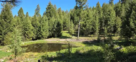 Secluded Montana Land For Sale