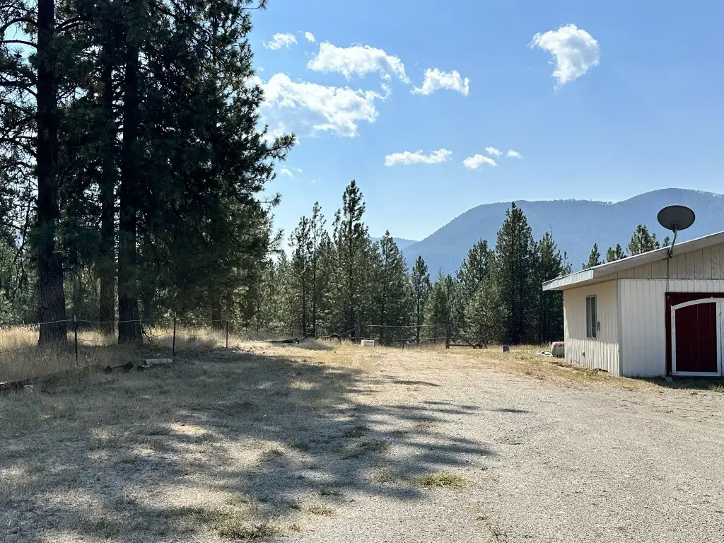 Picture 19