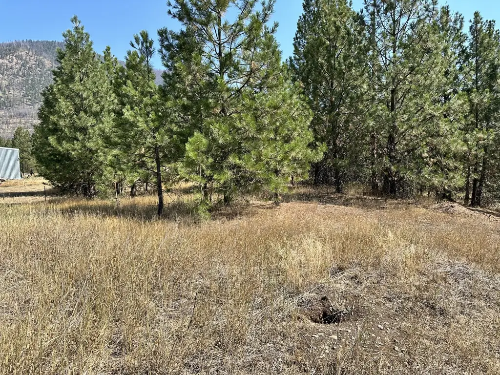Picture 23