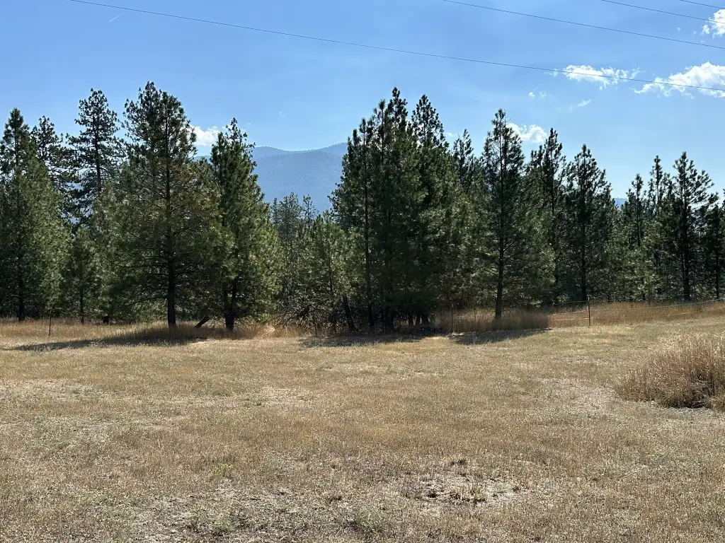 Picture 29