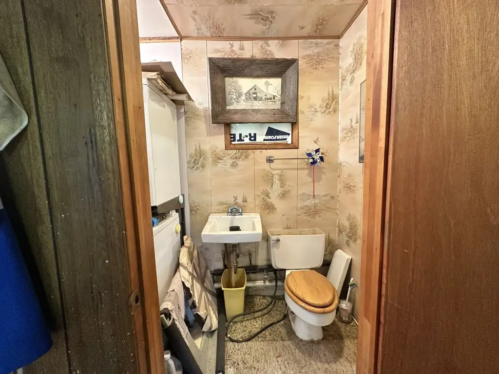 Picture 11