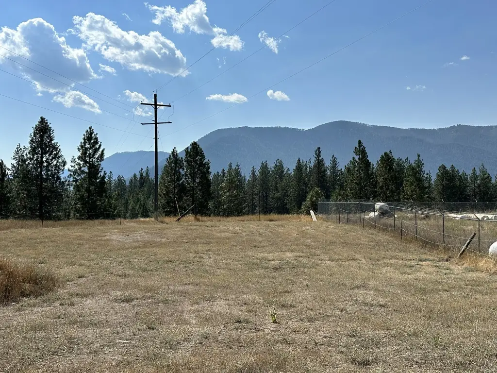Picture 28