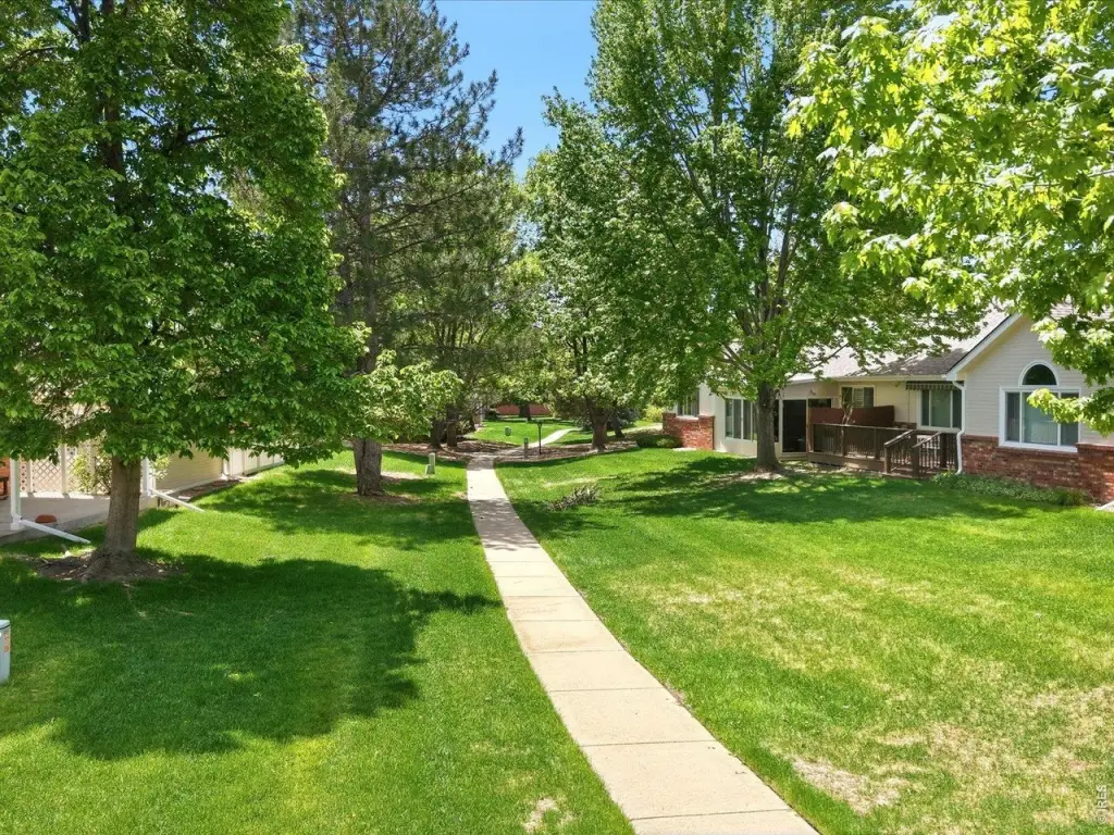 Picture 33