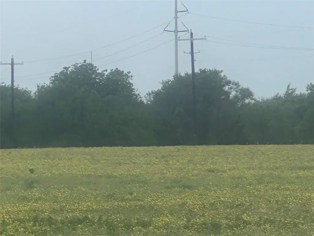 Picture 19