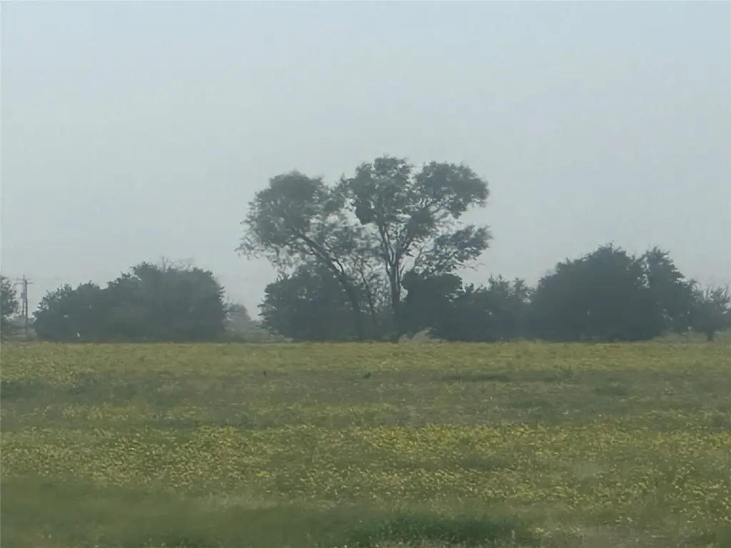 Picture 21