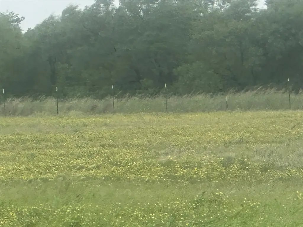 Picture 18