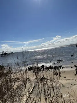 Mobile Bay Frontage Land