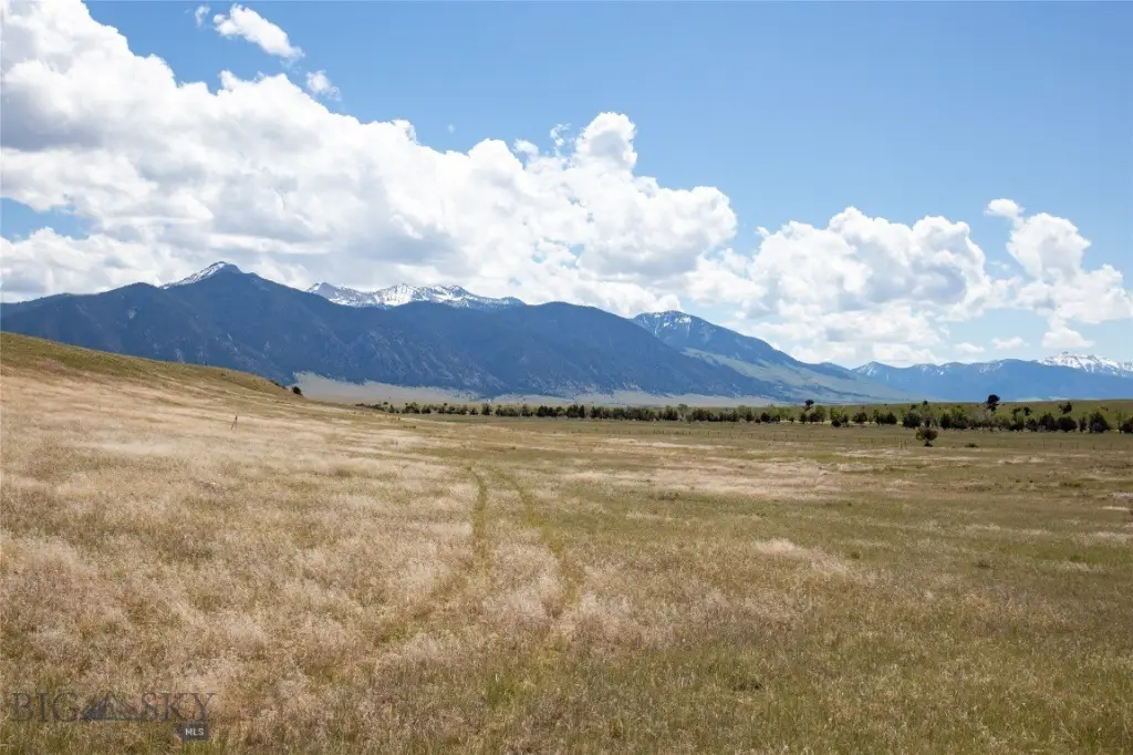 Picture 23