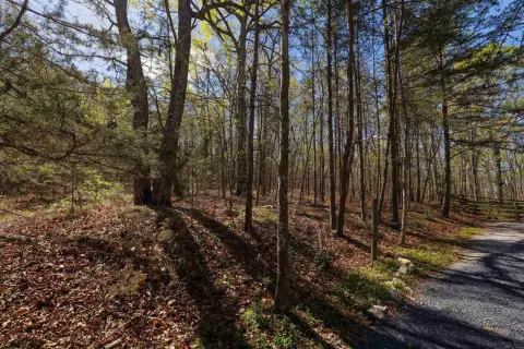 Wooded Lot Adjoins National Forest