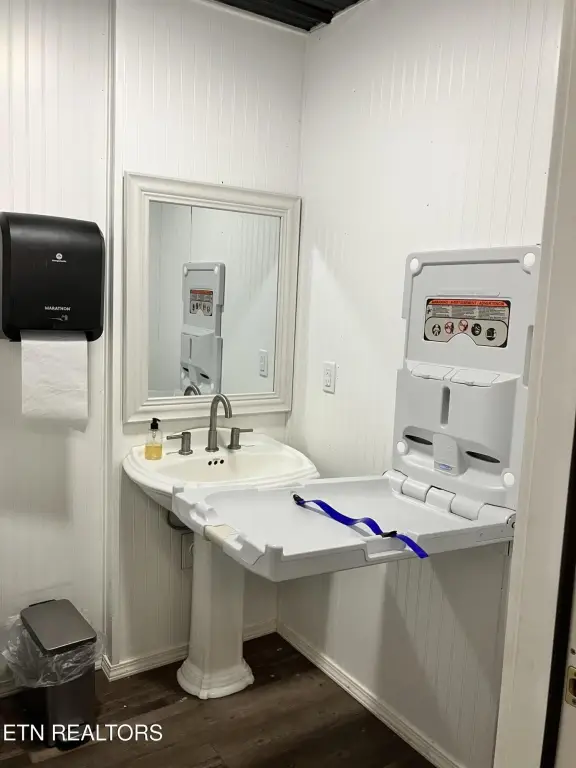 Picture 28