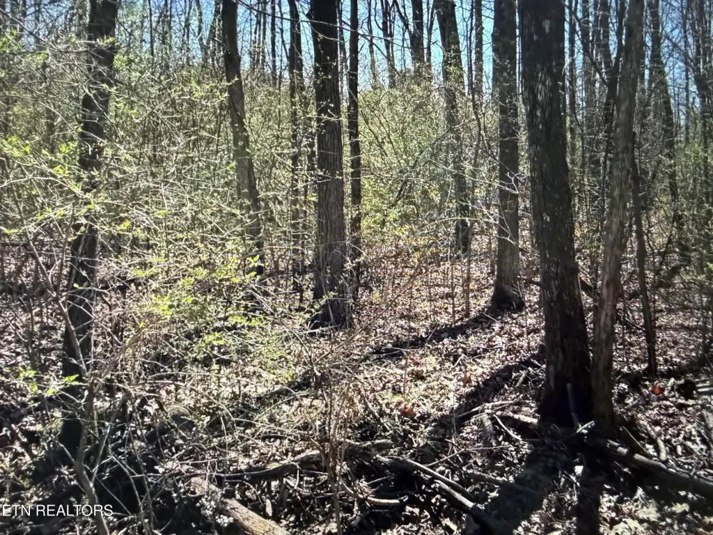 Picture 3