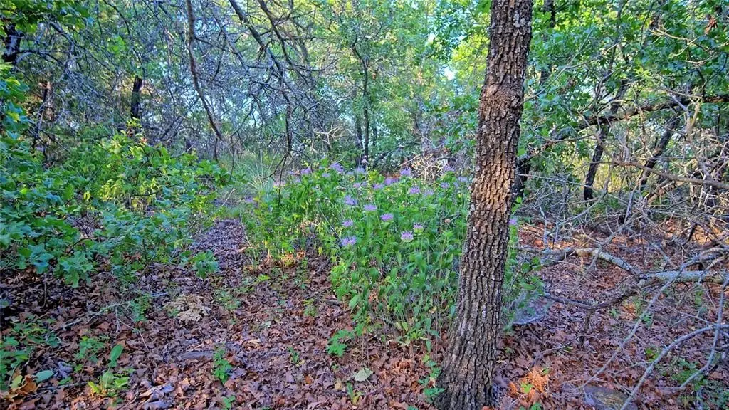 Picture 17