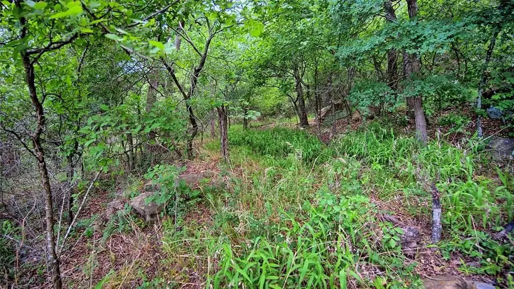 Picture 6