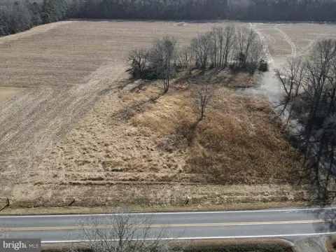 Cleared Land Parcel in Georgetown