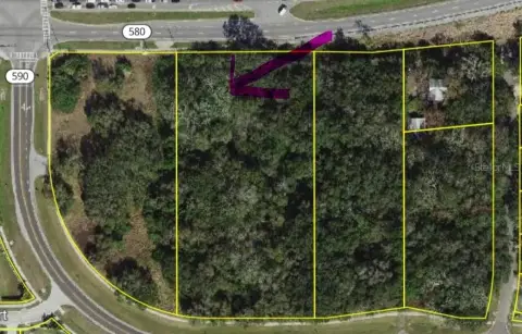 Residential Land in Safety Harbor