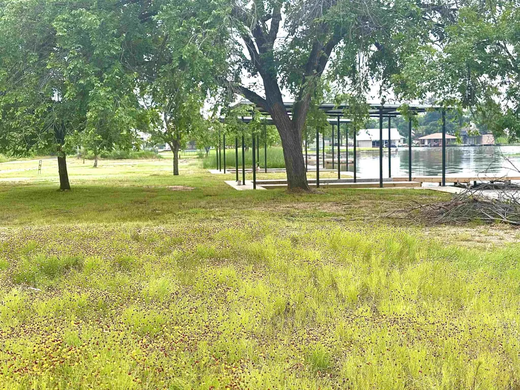 Picture 5