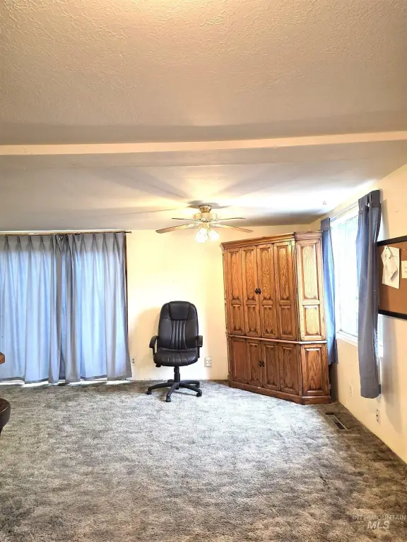 Picture 5