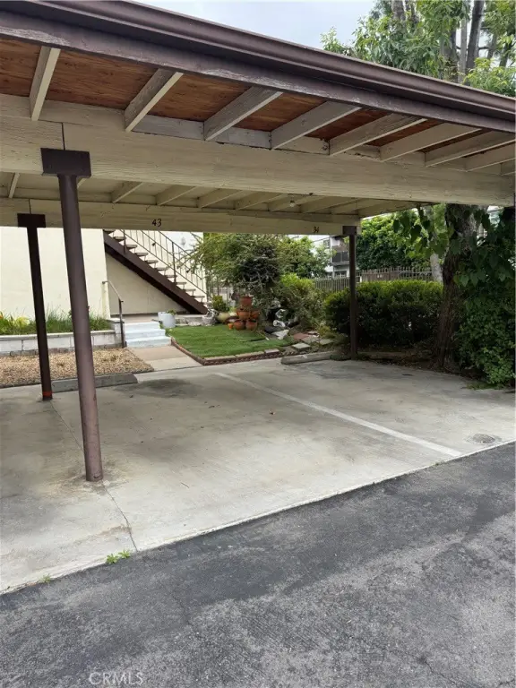 Picture 24
